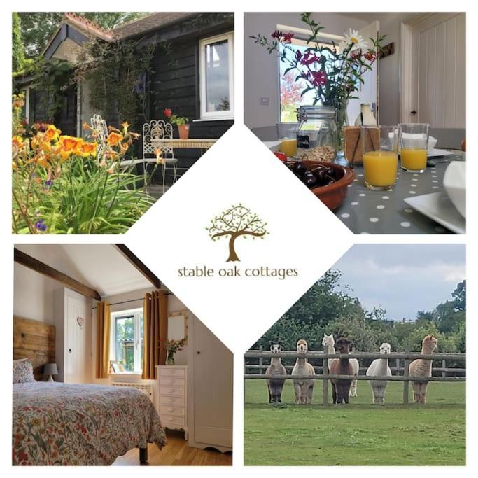 Willow Cottage In Idyllic Location Harrietsham Екстериор снимка