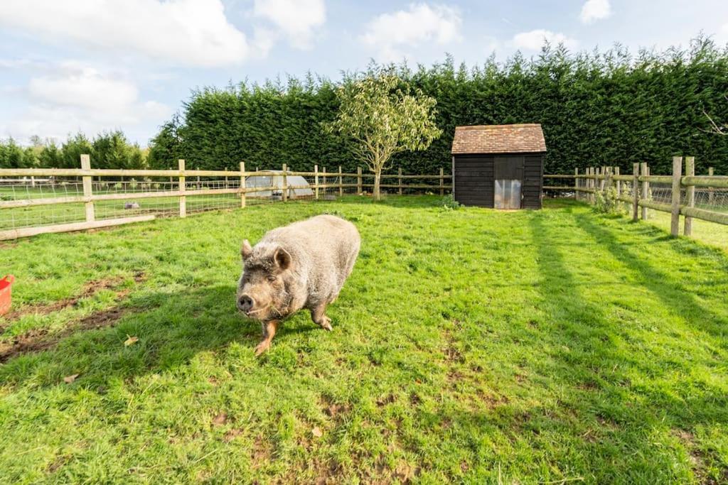 Willow Cottage In Idyllic Location Harrietsham Екстериор снимка