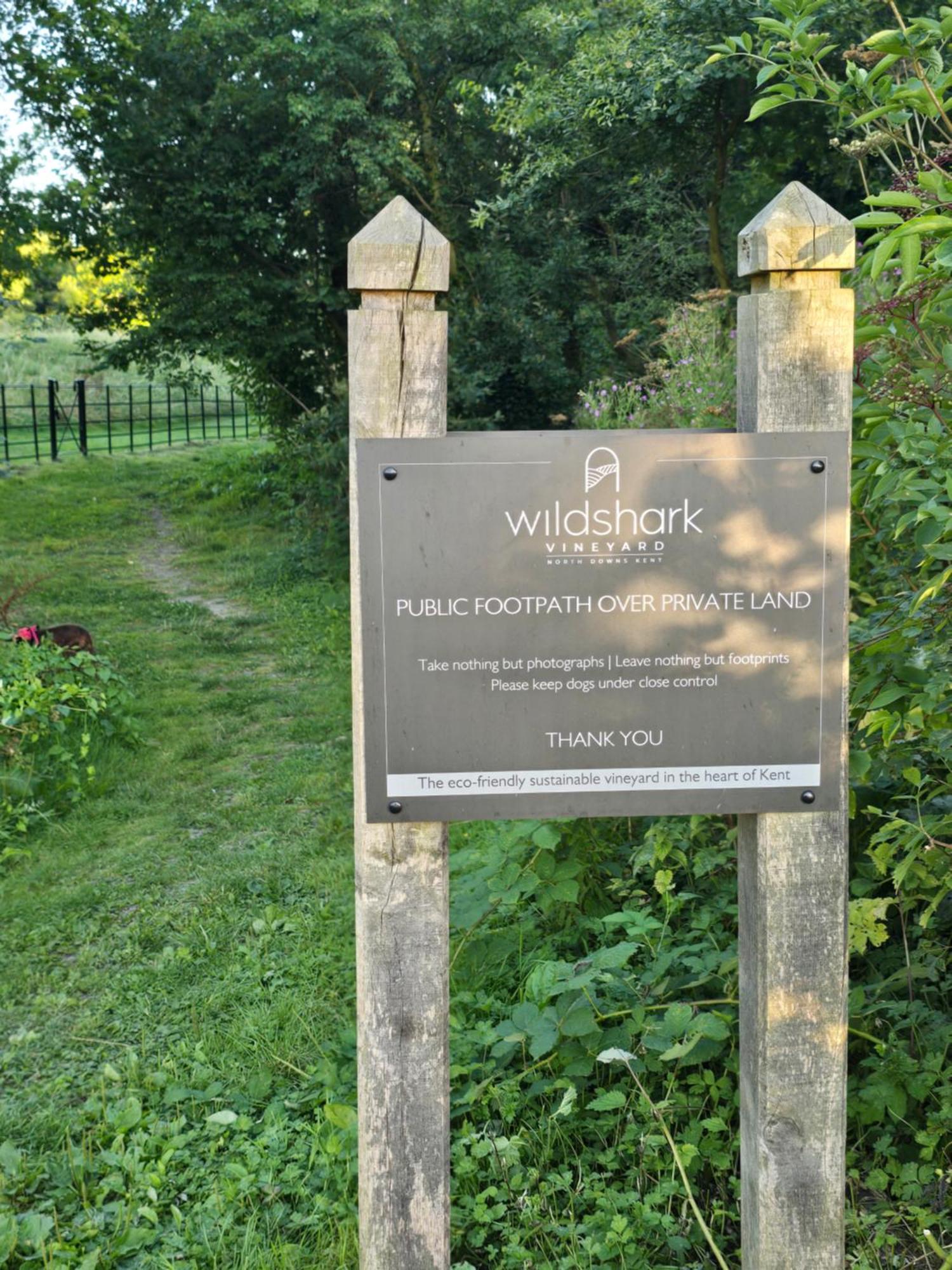 Willow Cottage In Idyllic Location Harrietsham Екстериор снимка